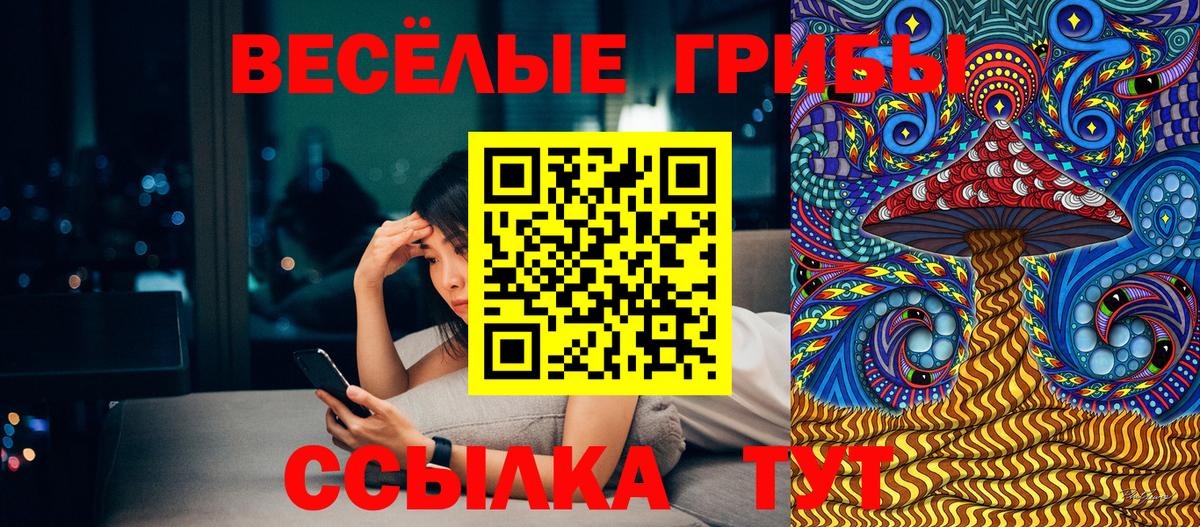 Галлюциногенные грибы мухоморы  Вход с VPN  Куйбышев  Галлюциногенные грибы мухоморы 